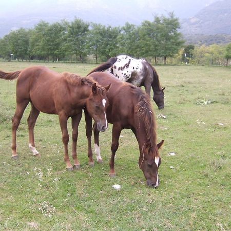Agriturismo Al Ranch Castello dʼAviano المظهر الخارجي الصورة