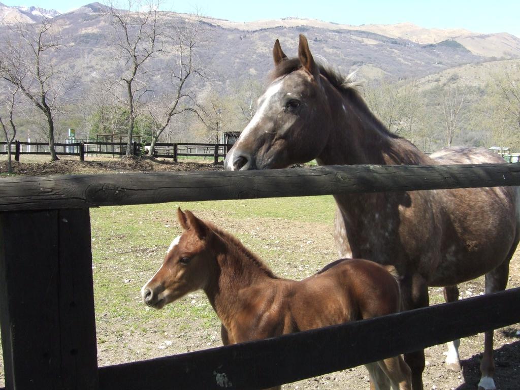 Agriturismo Al Ranch Castello dʼAviano المظهر الخارجي الصورة