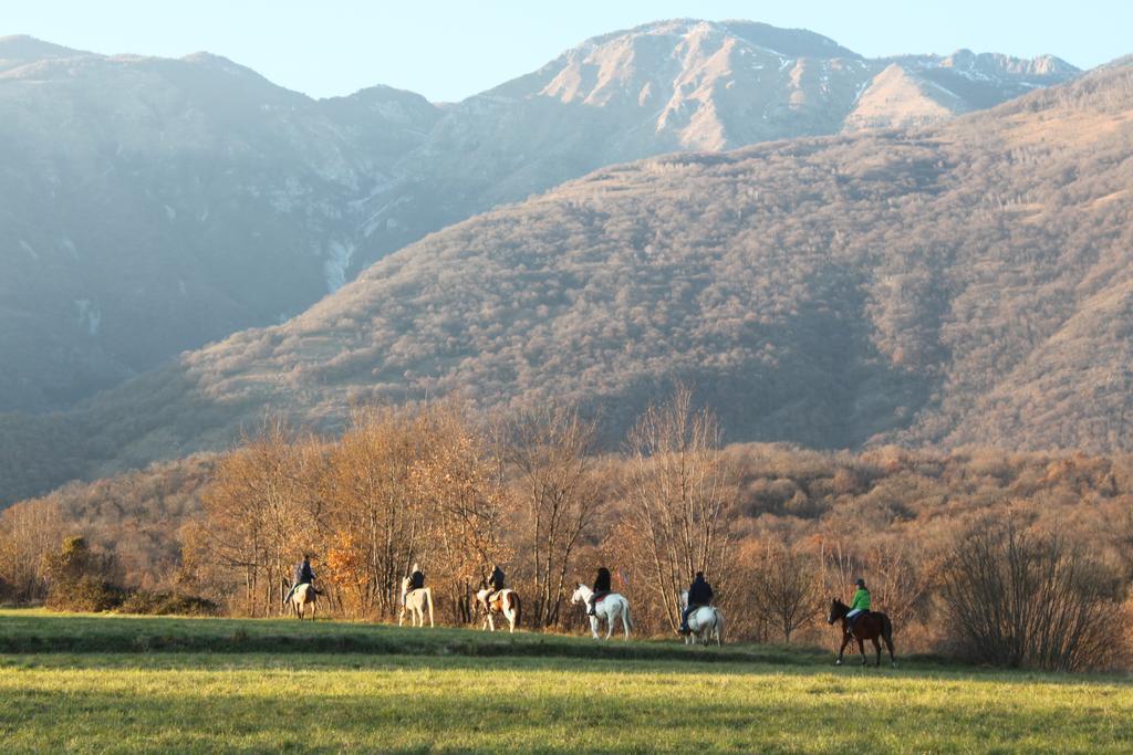 Agriturismo Al Ranch Castello dʼAviano المظهر الخارجي الصورة